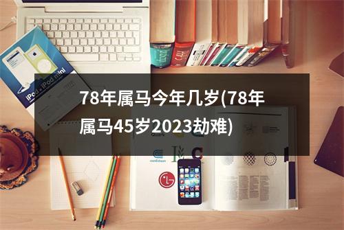 78年属马今年几岁(78年属马45岁2023劫难)