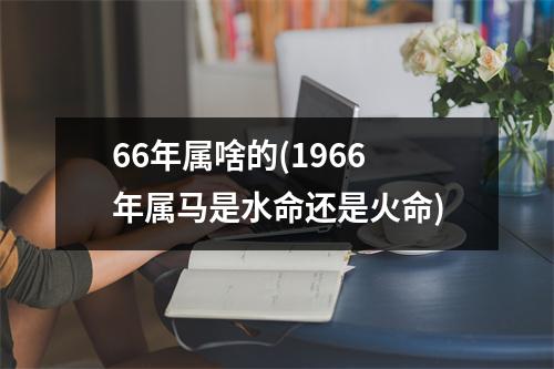 66年属啥的(1966年属马是水命还是火命)