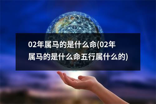 02年属马的是什么命(02年属马的是什么命五行属什么的)