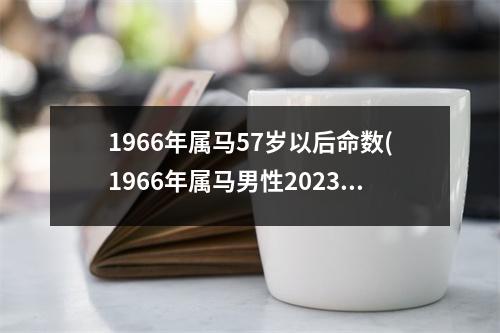 1966年属马57岁以后命数(1966年属马男性2023年运势及运程)