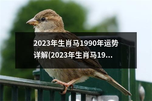 2023年生肖马1990年运势详解(2023年生肖马1990年运势详解免费算命网)