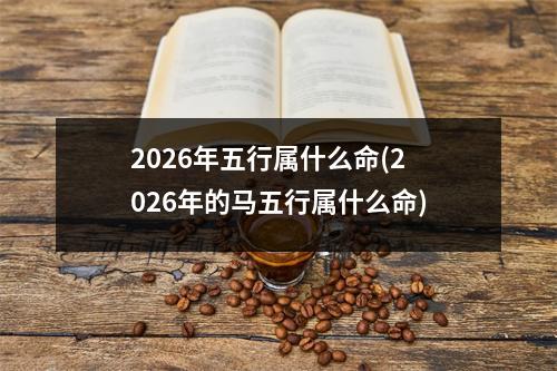 2026年五行属什么命(2026年的马五行属什么命)