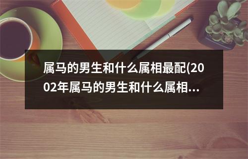 属马的男生和什么属相配(2002年属马的男生和什么属相配)