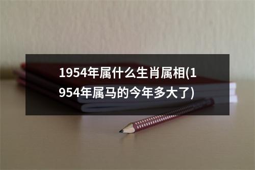 1954年属什么生肖属相(1954年属马的今年多大了)