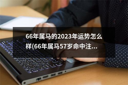 66年属马的2023年运势怎么样(66年属马57岁命中注定2023)