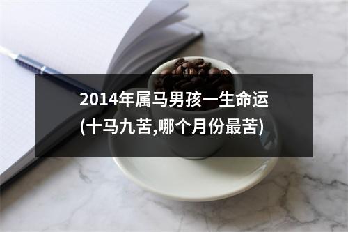 2014年属马男孩一生命运(十马九苦,哪个月份苦)