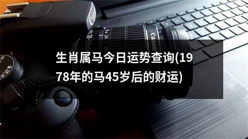 生肖属马今日运势查询(1978年的马45岁后的财运)