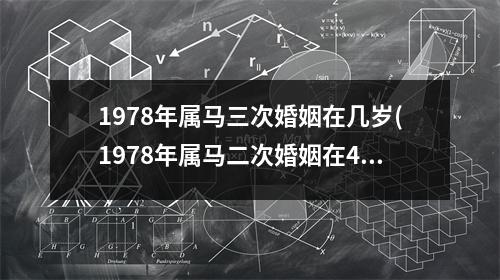 1978年属马三次婚姻在几岁(1978年属马二次婚姻在44岁)