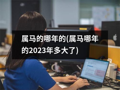 属马的哪年的(属马哪年的2023年多大了)