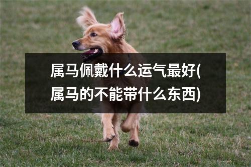 属马佩戴什么运气好(属马的不能带什么东西)