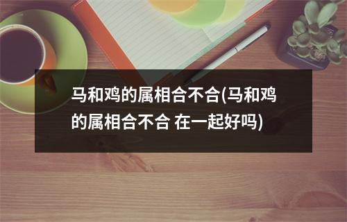 马和鸡的属相合不合(马和鸡的属相合不合 在一起好吗)