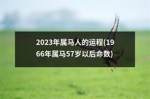 2023年属马人的运程(1966年属马57岁以后命数)