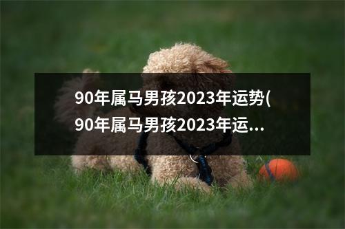 90年属马男孩2023年运势(90年属马男孩2023年运势和婚姻如何)