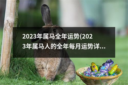 2023年属马全年运势(2023年属马人的全年每月运势详解)