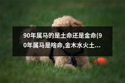 90年属马的是土命还是金命(90年属马是啥命,金木水火土哪个)