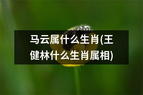 马云属什么生肖(王健林什么生肖属相)