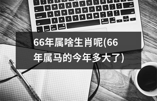 66年属啥生肖呢(66年属马的今年多大了)