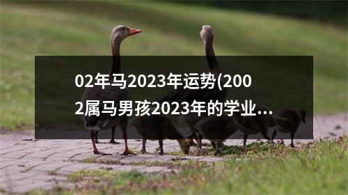 02年马2023年运势(2002属马男孩2023年的学业)