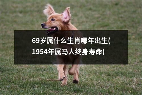 69岁属什么生肖哪年出生(1954年属马人终身寿命)