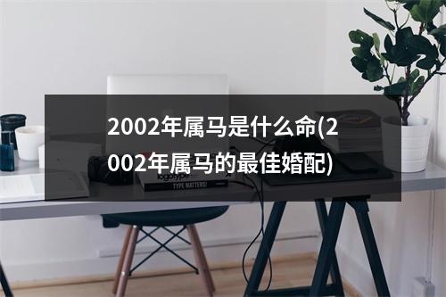 2002年属马是什么命(2002年属马的佳婚配)