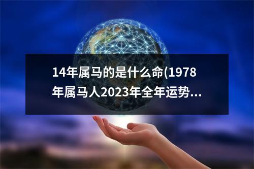 14年属马的是什么命(1978年属马人2023年全年运势)