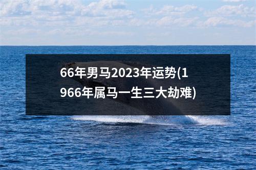 66年男马2023年运势(1966年属马一生三大劫难)