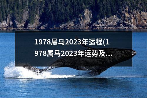 1978属马2023年运程(1978属马2023年运势及运程每月运程)