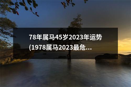 78年属马45岁2023年运势(1978属马2023危险的一个月)