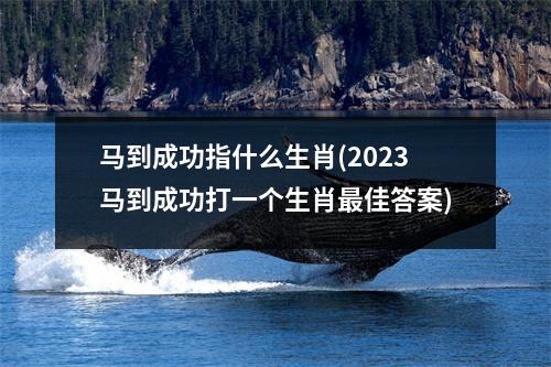 马到成功指什么生肖(2023马到成功打一个生肖佳答案)