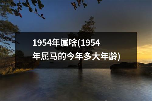 1954年属啥(1954年属马的今年多大年龄)