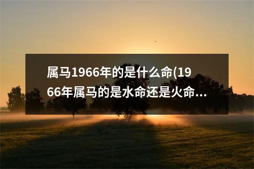 属马1966年的是什么命(1966年属马的是水命还是火命)