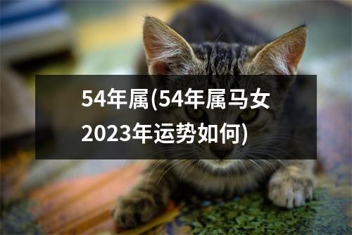 54年属(54年属马女2023年运势如何)