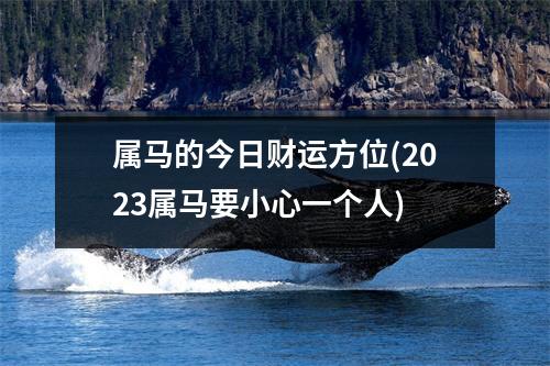 属马的今日财运方位(2023属马要小心一个人)