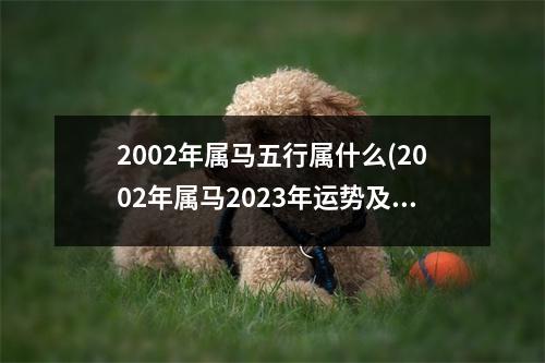 2002年属马五行属什么(2002年属马2023年运势及运程详解)