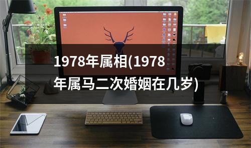 1978年属相(1978年属马二次婚姻在几岁)