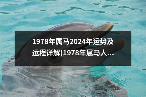 1978年属马2024年运势及运程详解(1978年属马人2023年运势及运程每月运程)