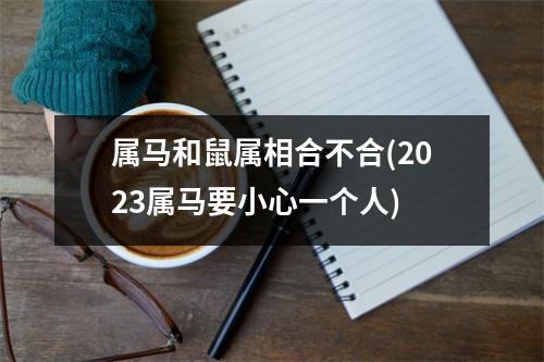 属马和鼠属相合不合(2023属马要小心一个人)