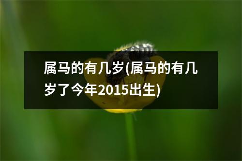 属马的有几岁(属马的有几岁了今年2015出生)