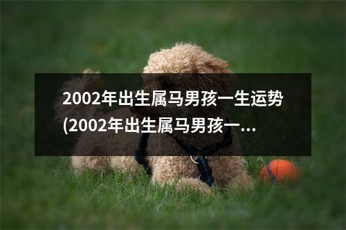 2002年出生属马男孩一生运势(2002年出生属马男孩一生运势怎么样)