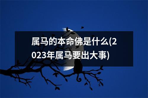 属马的本命佛是什么(2023年属马要出大事)