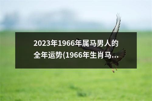 2023年1966年属马男人的全年运势(1966年生肖马男2023年运势大全)