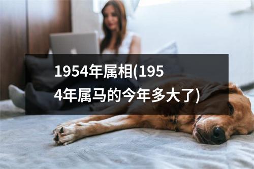 1954年属相(1954年属马的今年多大了)