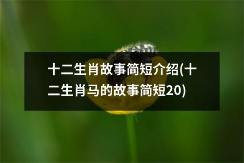 十二生肖故事简短介绍(十二生肖马的故事简短20)