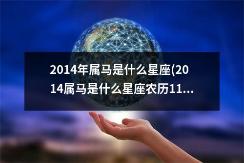 2014年属马是什么星座(2014属马是什么星座农历11岁是什么星座)