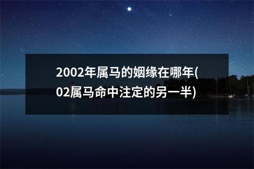 2002年属马的姻缘在哪年(02属马命中注定的另一半)