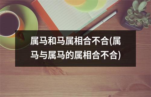 属马和马属相合不合(属马与属马的属相合不合)