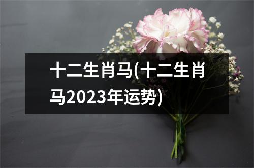 十二生肖马(十二生肖马2023年运势)