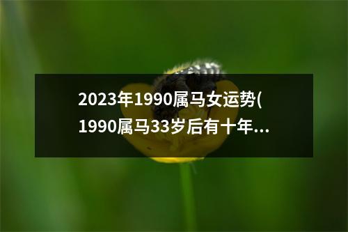 2023年1990属马女运势(1990属马33岁后有十年大运)