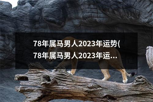 78年属马男人2023年运势(78年属马男人2023年运势如何呢)