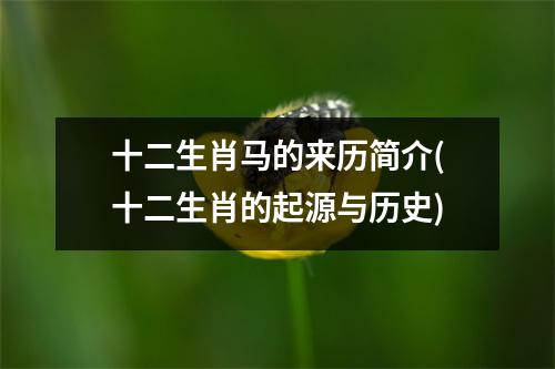 十二生肖马的来历简介(十二生肖的起源与历史)